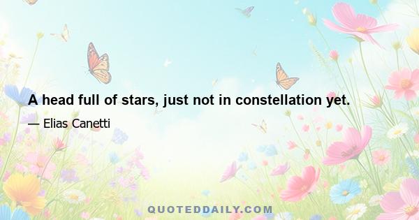 A head full of stars, just not in constellation yet.