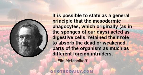 It is possible to state as a general principle that the mesodermic phagocytes, which originally (as in the sponges of our days) acted as digestive cells, retained their role to absorb the dead or weakened parts of the