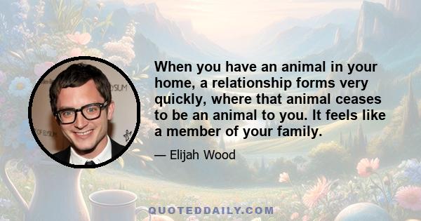 When you have an animal in your home, a relationship forms very quickly, where that animal ceases to be an animal to you. It feels like a member of your family.