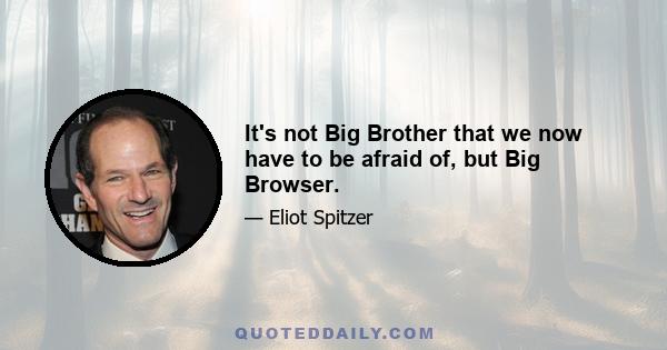 It's not Big Brother that we now have to be afraid of, but Big Browser.