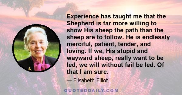 Experience has taught me that the Shepherd is far more willing to show His sheep the path than the sheep are to follow. He is endlessly merciful, patient, tender, and loving. If we, His stupid and wayward sheep, really