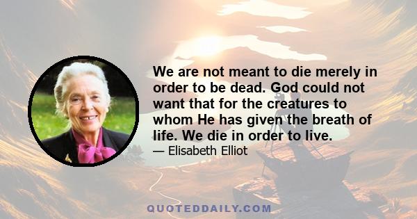 We are not meant to die merely in order to be dead. God could not want that for the creatures to whom He has given the breath of life. We die in order to live.