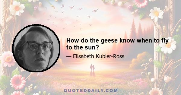 How do the geese know when to fly to the sun?