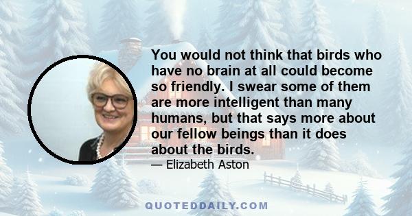 You would not think that birds who have no brain at all could become so friendly. I swear some of them are more intelligent than many humans, but that says more about our fellow beings than it does about the birds.