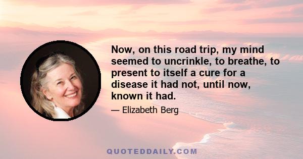 Now, on this road trip, my mind seemed to uncrinkle, to breathe, to present to itself a cure for a disease it had not, until now, known it had.