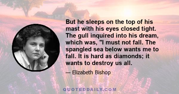 But he sleeps on the top of his mast with his eyes closed tight. The gull inquired into his dream, which was, I must not fall. The spangled sea below wants me to fall. It is hard as diamonds; it wants to destroy us all.