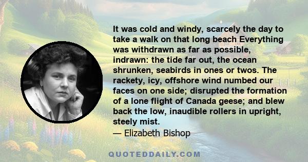 It was cold and windy, scarcely the day to take a walk on that long beach Everything was withdrawn as far as possible, indrawn: the tide far out, the ocean shrunken, seabirds in ones or twos. The rackety, icy, offshore