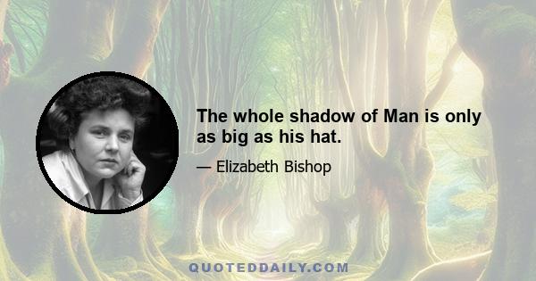 The whole shadow of Man is only as big as his hat.