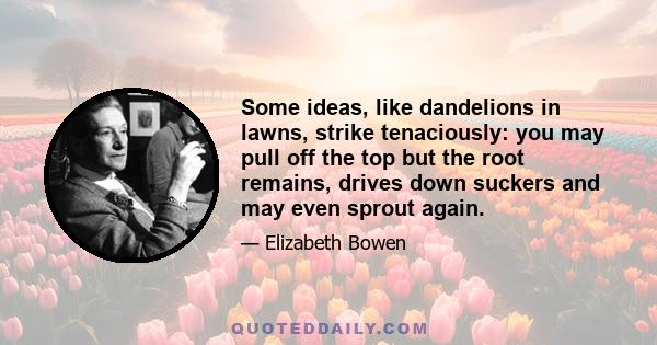 Some ideas, like dandelions in lawns, strike tenaciously: you may pull off the top but the root remains, drives down suckers and may even sprout again.