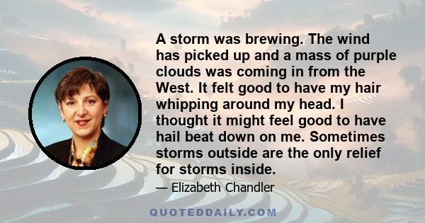 A storm was brewing. The wind has picked up and a mass of purple clouds was coming in from the West. It felt good to have my hair whipping around my head. I thought it might feel good to have hail beat down on me.