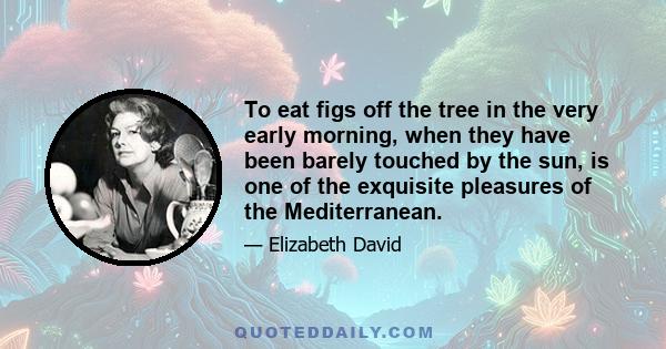 To eat figs off the tree in the very early morning, when they have been barely touched by the sun, is one of the exquisite pleasures of the Mediterranean.