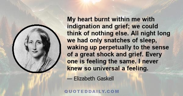 My heart burnt within me with indignation and grief; we could think of nothing else. All night long we had only snatches of sleep, waking up perpetually to the sense of a great shock and grief. Every one is feeling the