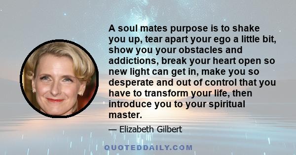 A soul mates purpose is to shake you up, tear apart your ego a little bit, show you your obstacles and addictions, break your heart open so new light can get in, make you so desperate and out of control that you have to 