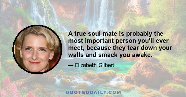 A true soul mate is probably the most important person you'll ever meet, because they tear down your walls and smack you awake. But to live with a soul mate forever? Nah. Too painful. Soul mates, they come into your