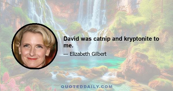 David was catnip and kryptonite to me.