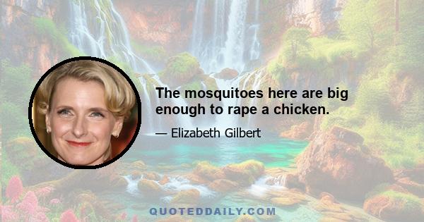 The mosquitoes here are big enough to rape a chicken.