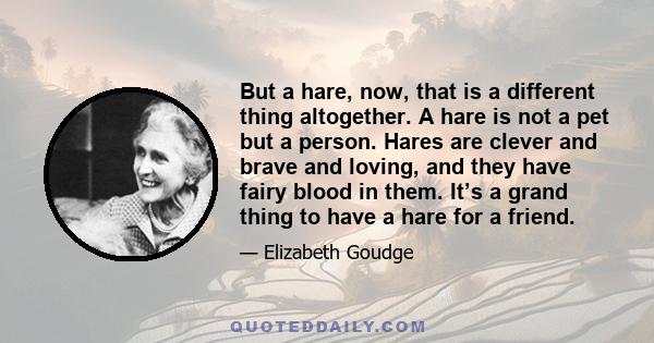 But a hare, now, that is a different thing altogether. A hare is not a pet but a person. Hares are clever and brave and loving, and they have fairy blood in them. It’s a grand thing to have a hare for a friend.