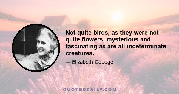 Not quite birds, as they were not quite flowers, mysterious and fascinating as are all indeterminate creatures.