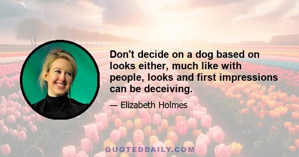 Don't decide on a dog based on looks either, much like with people, looks and first impressions can be deceiving.