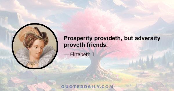 Prosperity provideth, but adversity proveth friends.