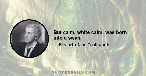 But calm, white calm, was born into a swan.