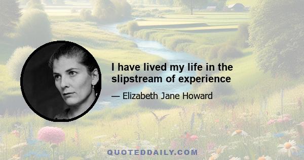 I have lived my life in the slipstream of experience