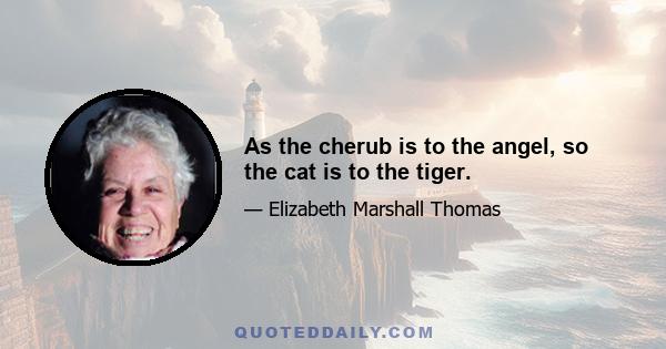 As the cherub is to the angel, so the cat is to the tiger.