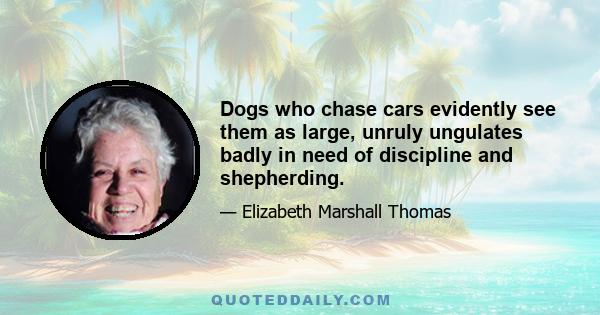 Dogs who chase cars evidently see them as large, unruly ungulates badly in need of discipline and shepherding.