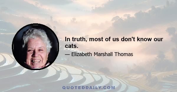 In truth, most of us don't know our cats.