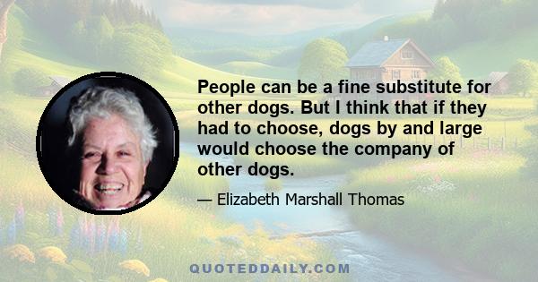 People can be a fine substitute for other dogs. But I think that if they had to choose, dogs by and large would choose the company of other dogs.