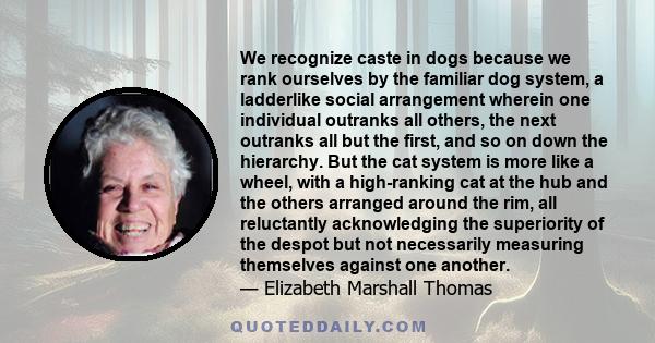 We recognize caste in dogs because we rank ourselves by the familiar dog system, a ladderlike social arrangement wherein one individual outranks all others, the next outranks all but the first, and so on down the