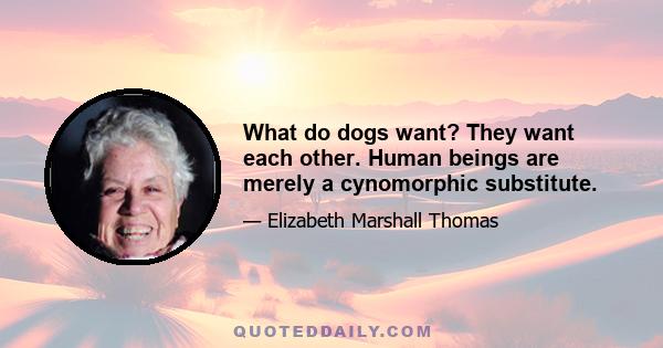 What do dogs want? They want each other. Human beings are merely a cynomorphic substitute.