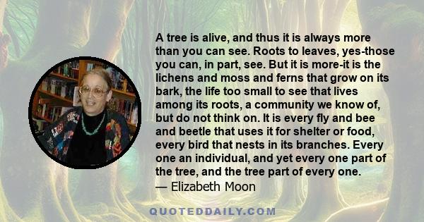 A tree is alive, and thus it is always more than you can see. Roots to leaves, yes-those you can, in part, see. But it is more-it is the lichens and moss and ferns that grow on its bark, the life too small to see that