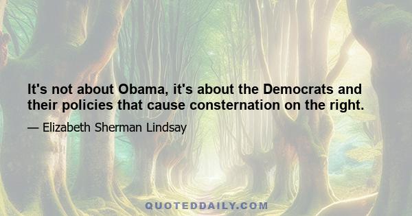 It's not about Obama, it's about the Democrats and their policies that cause consternation on the right.