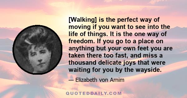 [Walking] is the perfect way of moving if you want to see into the life of things. It is the one way of freedom. If you go to a place on anything but your own feet you are taken there too fast, and miss a thousand