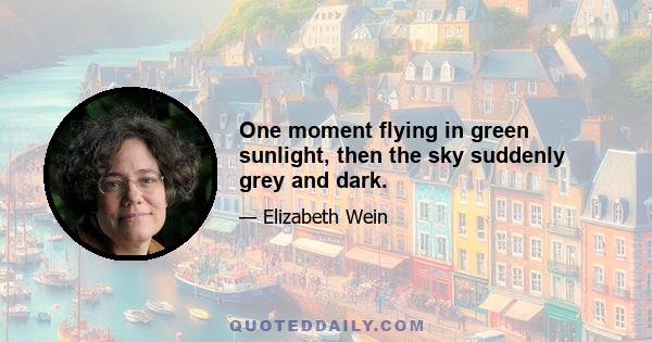 One moment flying in green sunlight, then the sky suddenly grey and dark.