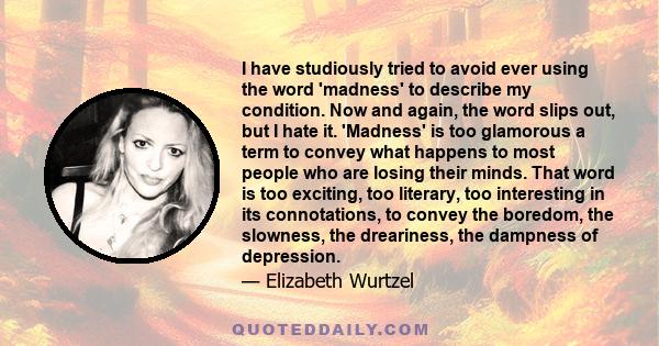 I have studiously tried to avoid ever using the word 'madness' to describe my condition. Now and again, the word slips out, but I hate it. 'Madness' is too glamorous a term to convey what happens to most people who are