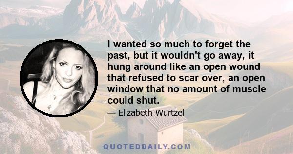 I wanted so much to forget the past, but it wouldn't go away, it hung around like an open wound that refused to scar over, an open window that no amount of muscle could shut.