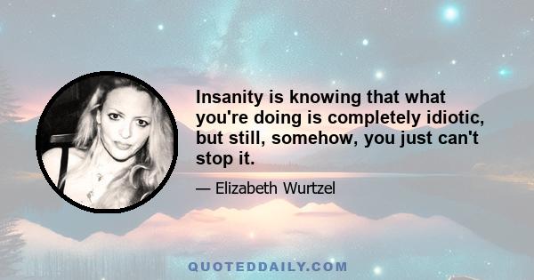 Insanity is knowing that what you're doing is completely idiotic, but still, somehow, you just can't stop it.