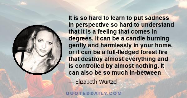 It is so hard to learn to put sadness in perspective so hard to understand that it is a feeling that comes in degrees, it can be a candle burning gently and harmlessly in your home, or it can be a full-fledged forest