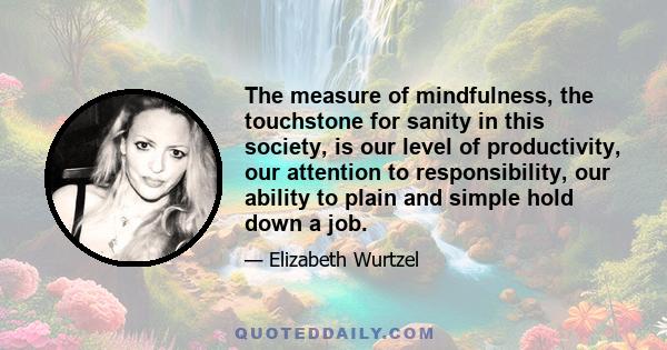 The measure of mindfulness, the touchstone for sanity in this society, is our level of productivity, our attention to responsibility, our ability to plain and simple hold down a job.