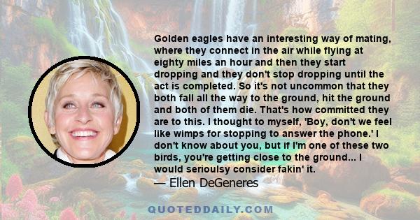 Golden eagles have an interesting way of mating, where they connect in the air while flying at eighty miles an hour and then they start dropping and they don't stop dropping until the act is completed. So it's not