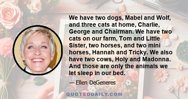 We have two dogs, Mabel and Wolf, and three cats at home, Charlie, George and Chairman. We have two cats on our farm, Tom and Little Sister, two horses, and two mini horses, Hannah and Tricky. We also have two cows,