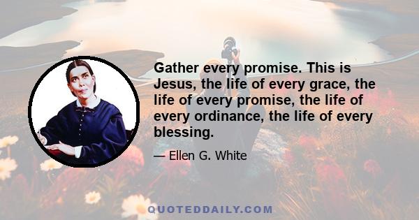 Gather every promise. This is Jesus, the life of every grace, the life of every promise, the life of every ordinance, the life of every blessing.