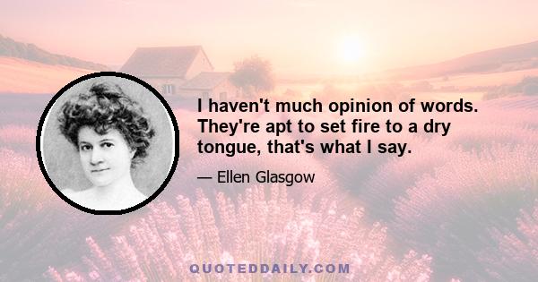 I haven't much opinion of words. They're apt to set fire to a dry tongue, that's what I say.