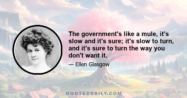 The government's like a mule, it's slow and it's sure; it's slow to turn, and it's sure to turn the way you don't want it.