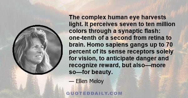 The complex human eye harvests light. It perceives seven to ten million colors through a synaptic flash: one-tenth of a second from retina to brain. Homo sapiens gangs up to 70 percent of its sense receptors solely for