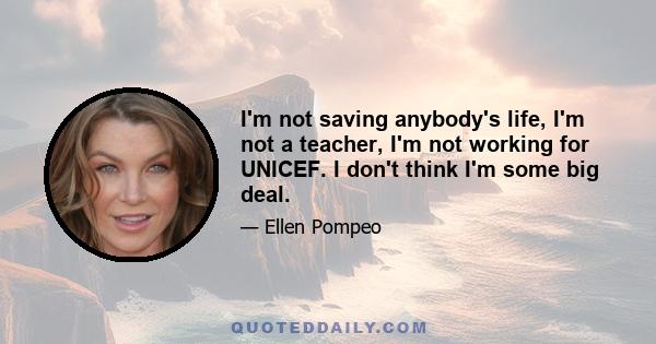 I'm not saving anybody's life, I'm not a teacher, I'm not working for UNICEF. I don't think I'm some big deal.