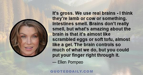 It's gross. We use real brains - I think they're lamb or cow or something. Intestines smell. Brains don't really smell, but what's amazing about the brain is that it's almost like scrambled eggs or soft tofu, almost