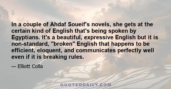 In a couple of Ahdaf Soueif's novels, she gets at the certain kind of English that's being spoken by Egyptians. It's a beautiful, expressive English but it is non-standard, broken English that happens to be efficient,